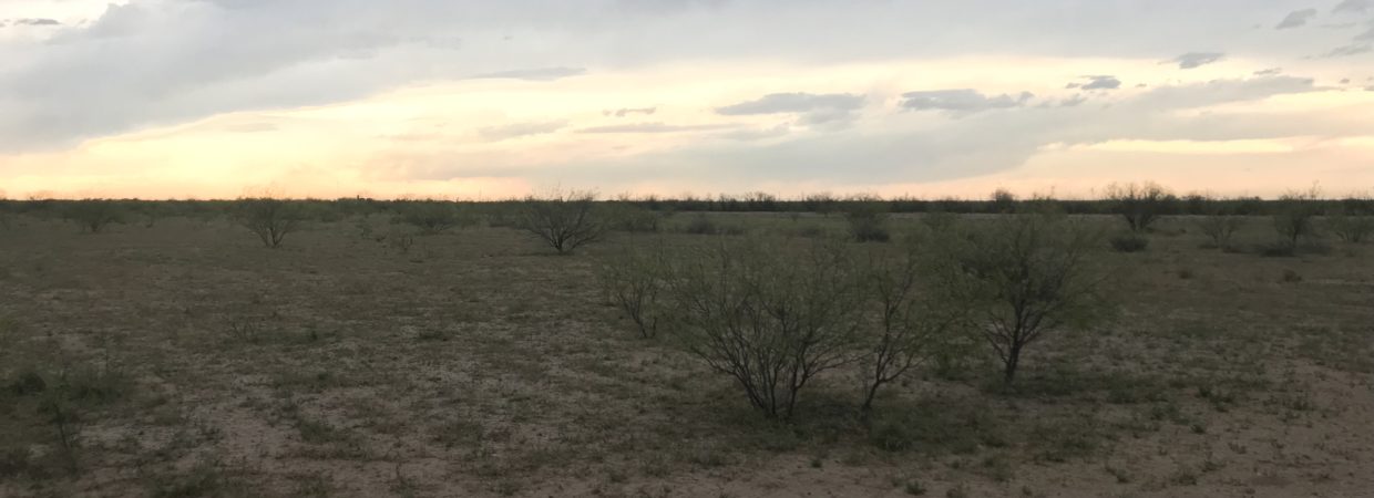 40 Acres in Pecos County, TX