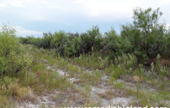 SOLD: 40 Acre Secluded Texas Ranch