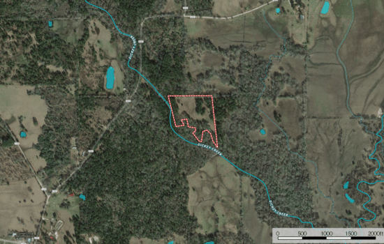 SOLD: East Texas Paradise! 10+ Acres with Trees and a Creek
