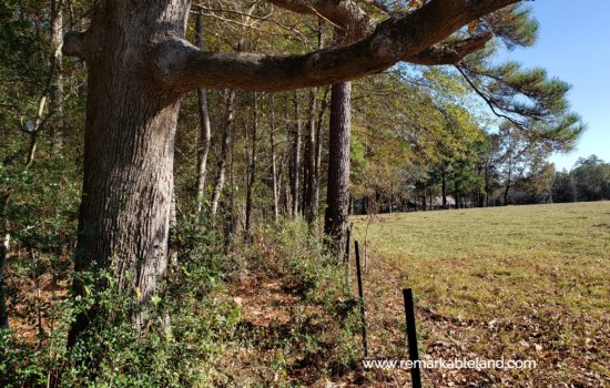 SOLD: Perfect Homesite! 🤯 2.37-Acres for Your New House