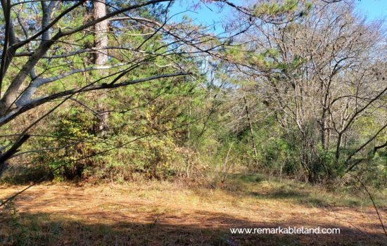 SOLD: Build Your Home on this 0.66-Acre Lot