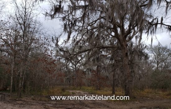SOLD: Your Quiet Country Paradise is This 0.5740-Acre Lot