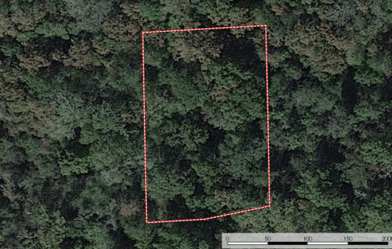 SOLD: Fish All Day When You Build on This 0.6144-Acre Lot