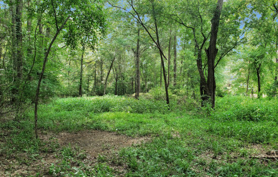 SOLD:Build Your Next Home on This 1.122-Acre Wooded Lot in Marshall