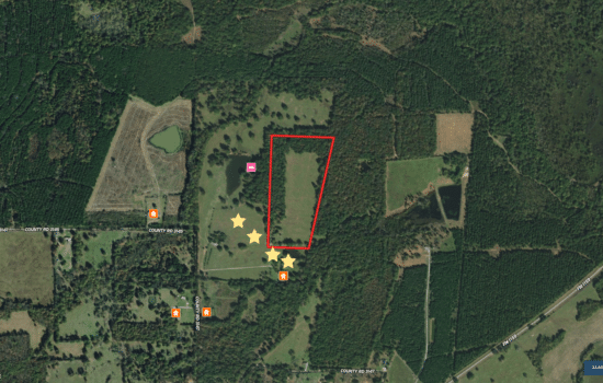 SOLD: 22.12 Acres of Freedom in Beautiful Northeast Texas