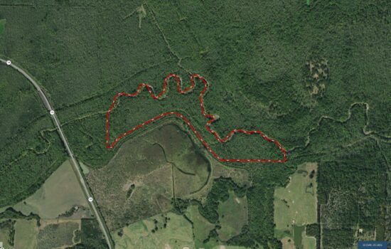 SOLD: 🦌 🐗 73 Acres with Over a Mile of Sulphur River Frontage 🦆🛶