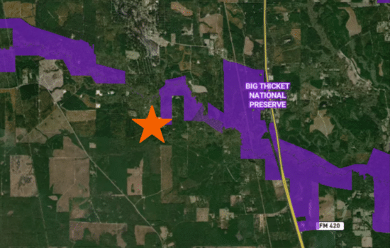 Hide Out in the Woods on 28.13 Acres Near Kountze