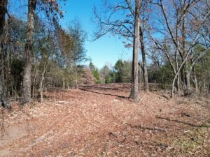 Lot 7 – Prime 5.1 Acres Just an Hour from Dallas!