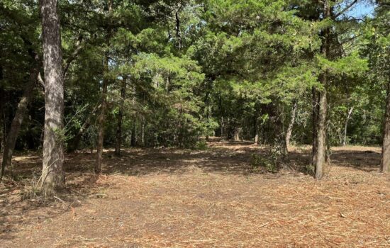 2.44 Acres, Awaiting Your Dream Home in Freestone County, TX! No Restrictions!