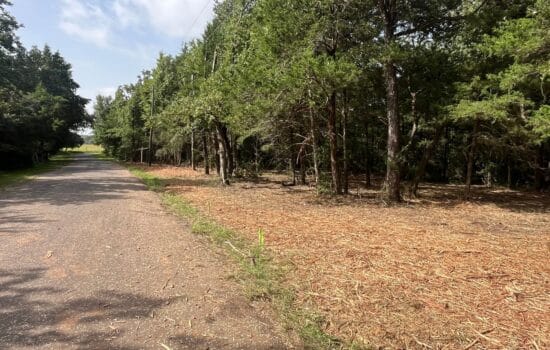 2.44 Acres with Country Living & Nearby Conveniences near Fairfield, Texas!  No Restrictions!