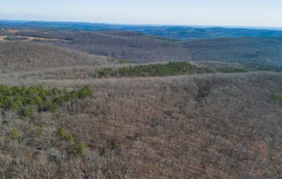 40 Acres on the Little Red River in Van Buren County, AR